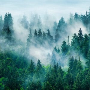 Teszt havi előfizetés